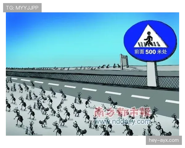 非法挡拆规则解析：什么是合法与非法挡拆的判罚标准？